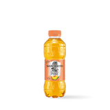 12 San Benedetto The Eistee Peach 0,5 L erfrischend lecker mit Pfand